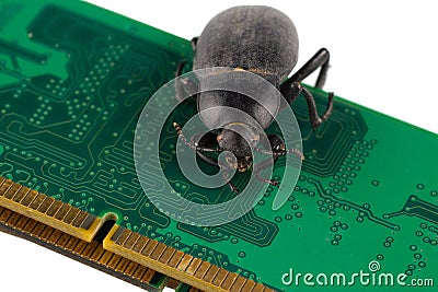 Bug on PC memory circuit board. Computer error concept Stock Photo