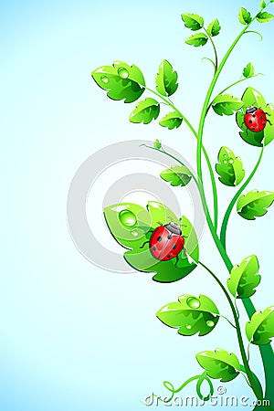 Bug on plant Vector Illustration