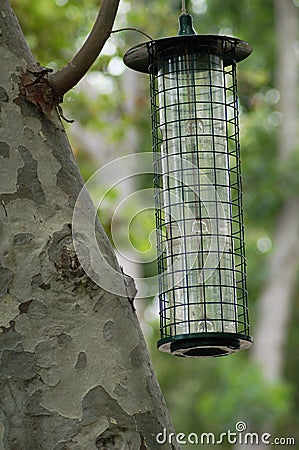 Bug Zapper Stock Photo