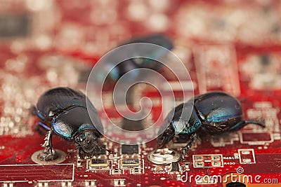 Bugs on a computer chip Stock Photo