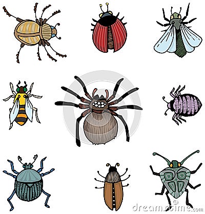 Bugs and insects Vector Illustration