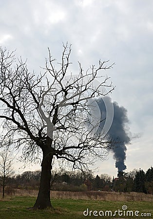 Building fire or irresponsible person set fire to the garden black smoke spoils air quality dust emissions poisonous endanger huma Stock Photo