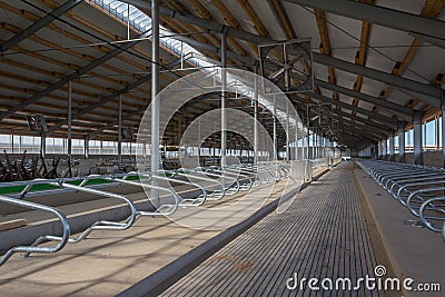 Building frame composition. Steel frame of the building with timber joists and sandwich panels on the roof. Modern construction of Stock Photo