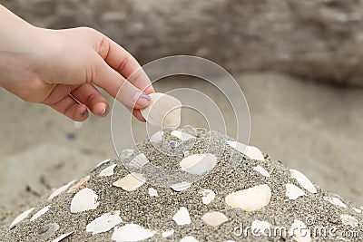 Building a Seashell Collection on the beach Stock Photo