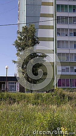 Building and a tree in russian suburbs Stock Photo