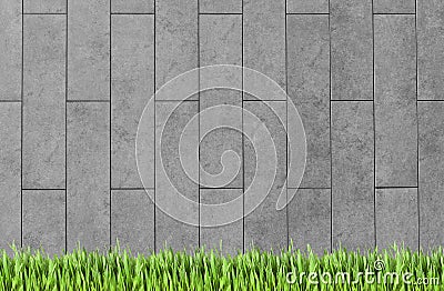 Building wall and green grass background Stock Photo