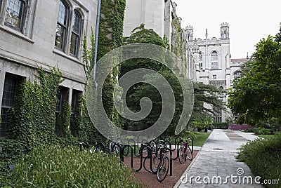 Buildings in English gothic style, garden trees and bicycles Stock Photo