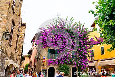 Buildings with flowers Lake Garda Italy. Editorial Stock Photo