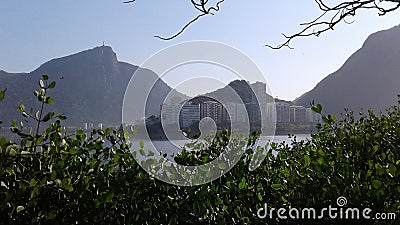 Buildings, mountains and plants around Rodrigo de Freitas Lagoon Rio de Janeiro Brazil Stock Photo