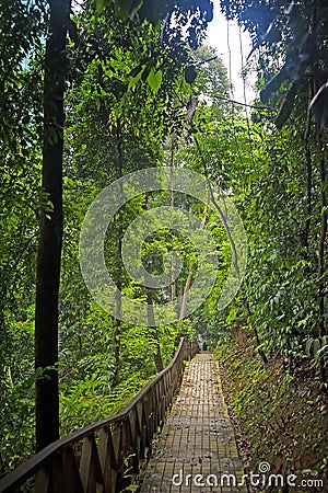 BUKIT NANAS - KUALA LUMPUR Editorial Stock Photo