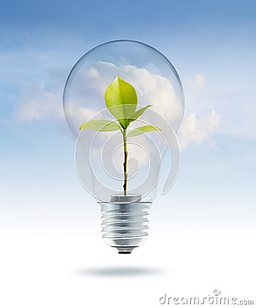 Bulb light with money green tree inside on sky blue cloud background Stock Photo