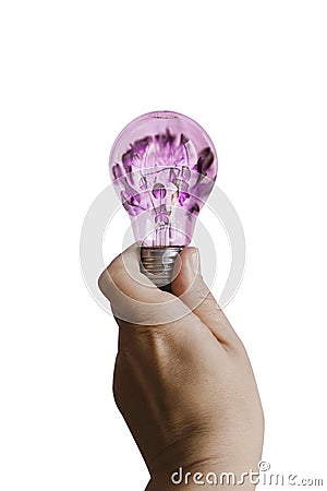Bulb with pink flower inside Stock Photo