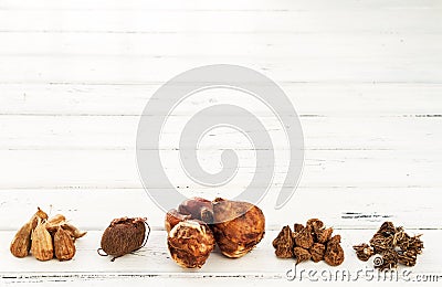 Bulbs and corms Stock Photo