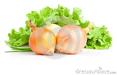 Bulbs of onion, Scallions and Fresh lettuce bunch Stock Photo