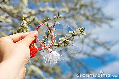 Bulgarian symbol of spring martenitsa bracelet. March 1 tradition white and red cord martisor and the first blossoming tree to Stock Photo