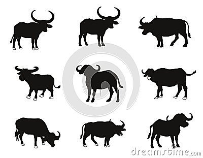 Bull bison or buffalo silhouettes vector Stock Photo