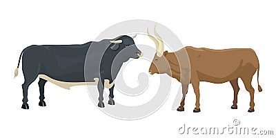 Bull and cow farm animal vector illustration. Vector Illustration