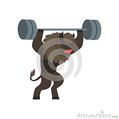 Bull exercising with barbell, sportive wild animal character doing sports vector Illustration on a white background Vector Illustration