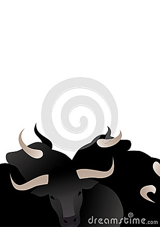 Bull in front and bull heads around, isolated on white background. Blank space for text or image Stock Photo