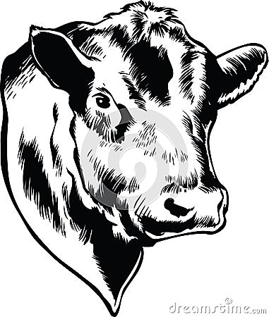 Bull Head Vector Illustration Vector Illustration