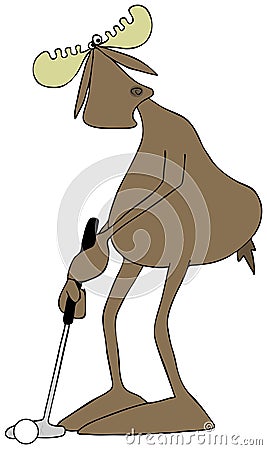 Bull moose putting a golf ball. Stock Photo
