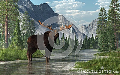 Moose in a River Stock Photo
