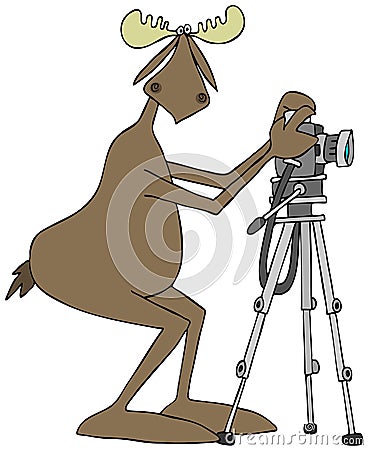 Bull moose using a camera on a tripod Stock Photo