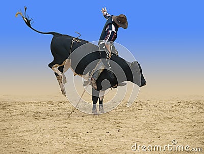 Bull Rider Stock Photo