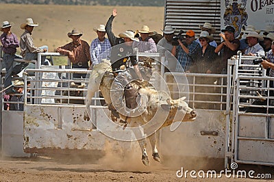 Bull Rider Gets Airborne Editorial Stock Photo