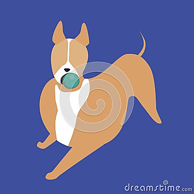 A bull terrier playing with a ball and isolated on a blue background for design or print, a flat vector stock illustration with a Vector Illustration