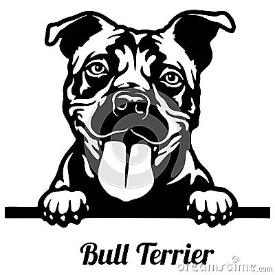 Bull Terrier Peeking Dog - head isolated on white Vector Illustration