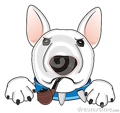 Bull terrier smoking Stock Photo