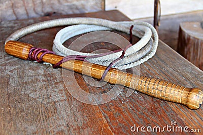 Bull whip Stock Photo