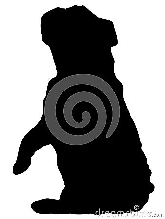 Bulldog begging silhouette Vector Illustration