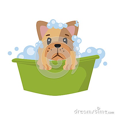 bulldog cartoon bathing Vector Illustration