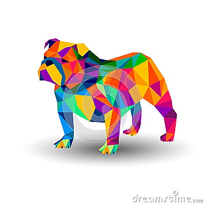 Bulldog english dog breed portrait illustration Vector Illustration