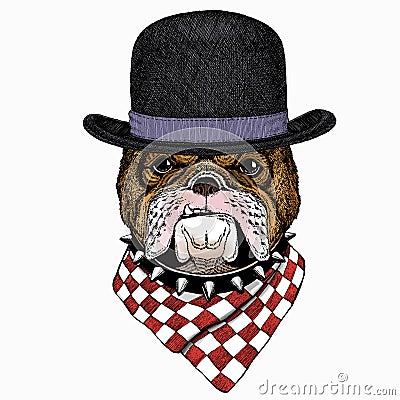 Bulldog portrait. Dog head. Animal face. Bowler hat. Vector Illustration