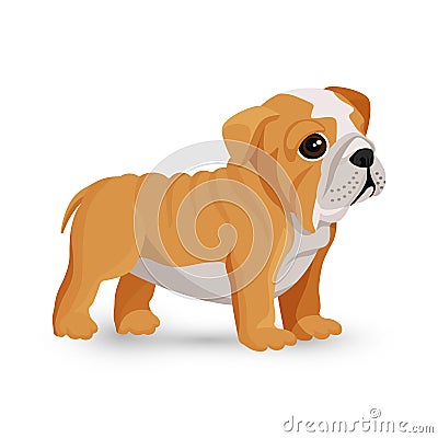 Bulldog puppy cute toy in white and beige color vector Vector Illustration