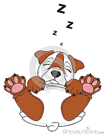 Bulldog puppy sleep Stock Photo