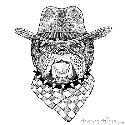 Bulldog Wild animal wearing cowboy hat Wild west animal Cowboy animal T-shirt, poster, banner, badge design Stock Photo