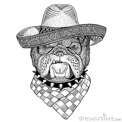 Bulldog Wild animal wearing sombrero Mexico Fiesta Mexican party illustration Wild west Cartoon Illustration