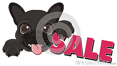 Bulldog with word sale Stock Photo