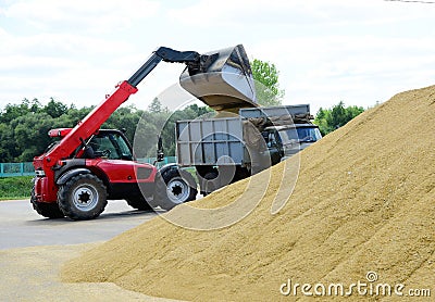 A bulldozer loads grain into a truck with a large bucket. Editorial Stock Photo