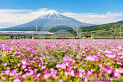 Bullet train pass Mt. Fuji Editorial Stock Photo