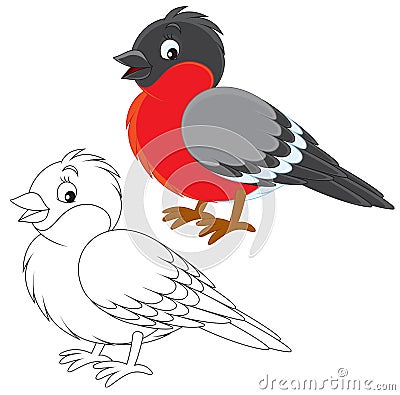 Bullfinch Vector Illustration