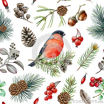 Bullfinch bird winter seamless pattern. Watercolor illustration. Hand drawn bullfinch bird, fir tree branch, cone, red Cartoon Illustration