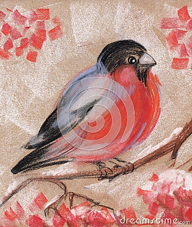 Bullfinch on a branch of mountain ash. Abstract hand drawn with soft pastel illustration Cartoon Illustration