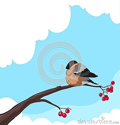 Bullfinch Vector Illustration