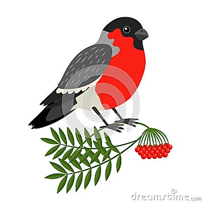 Bullfinch Christmas Bird Vector Illustration