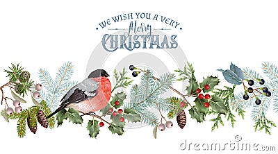 Bullfinch Christmas border Vector Illustration